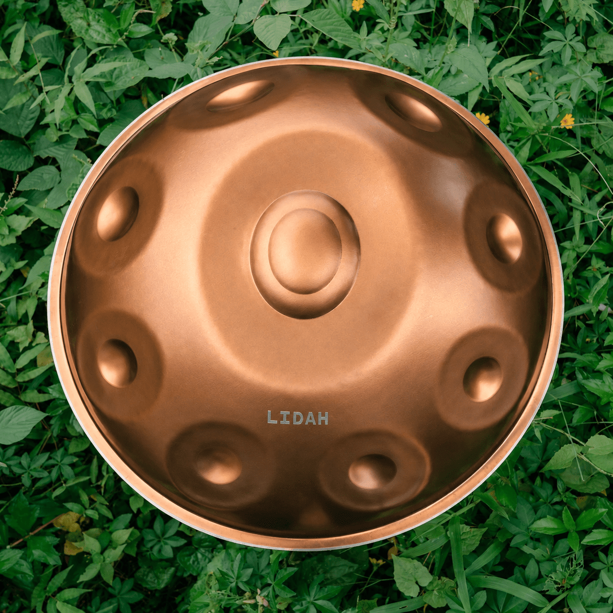 Ember Steel I F2 Low Pygmy 16 - LIDAH