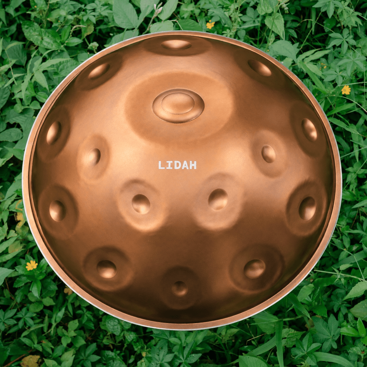 Ember Steel I F# Low Pygmy 21 - LIDAH