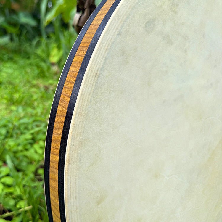 Ocean Drum - LIDAH